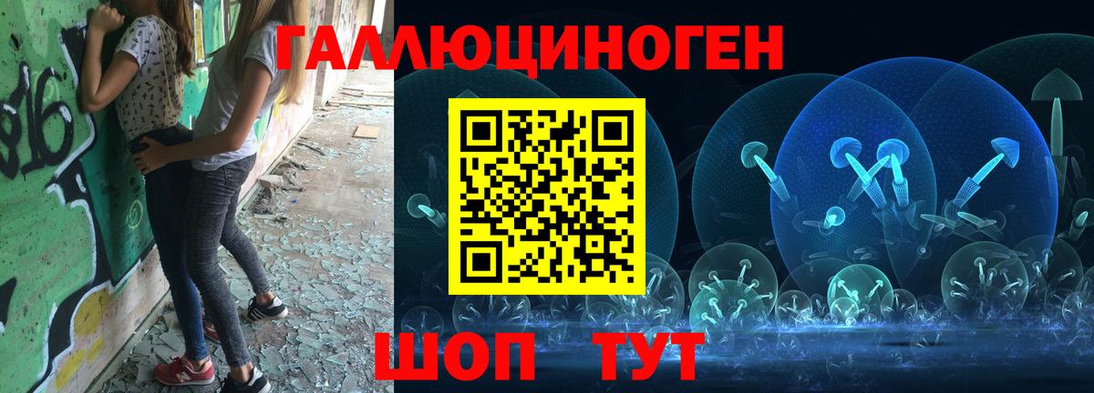 Волгодонск  Псилоцибиновые грибы GOLDEN TEACHER  Вход с VPN  Галлюциногенные грибы Psilocybe 